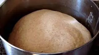 Saturday Projects&trade; .com | Whole Wheat Rolls - SaturdayProjects&trade; - FOOD VIDEOS