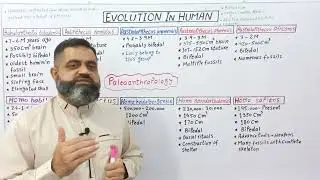 Evolution in Human Urdu/Hindi medium @prof.masoodfuzail| Paleoanthropology | Huminin Evolution