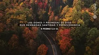 Los Dones y Promesas de Dios Que Demandan Santidad y Perseverancia: 2Pedro 1:3-11