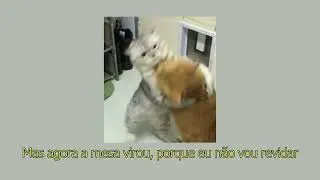 The Flat Stanleys - Me vs Your friends (tradu&ccedil;&atilde;o)