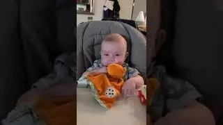 Little Ricky playing with his toys for the first time