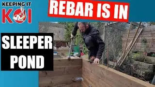 Sleeper Pond with Window (Part 22) Rebar is going in 👍🏻👍🏻👍🏻 The correct version 😂