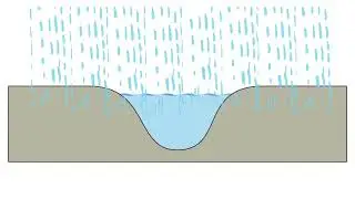 Levee Formation