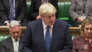 Johnson on Ban Guardian