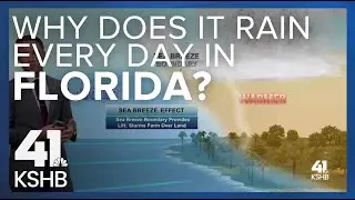 Weather Academy: Why does it rain every day in Florida?