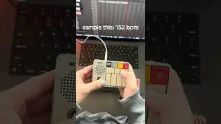 crazy new pocket synth 2025 #flstudio