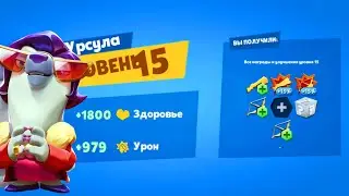 ПРОКАЧИВАЕМ МАФИОЗНУЮ МЕДВЕДИЦУ УРСУЛУ НА 15 УРОВЕНЬ В ЗУБЕ! Zooba