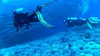 Barracuda storm@Big fish country