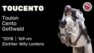Toucento *2018 von Toulon x Cento | Hengstschau Sosath 2025