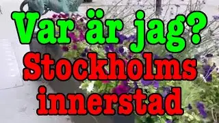 UTMANING. Var &auml;r jag? #94. Stockholms innerstad innanf&ouml;r tullarna (Svar i texten)