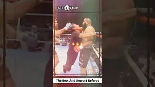 Best Referee from Japan #mma #ufc #boxing