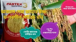 পারটেক্স ৩। অন্যতম সেরা উচ্চ ফলনশীল  হাইব্রিড ধান বীজ।