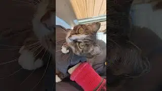5 марта какая у нас зима .