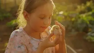 The Little Fox's Big Adventure - Kindness Story - Bedtime Kids Story!
