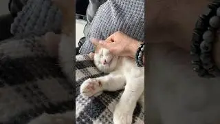 surprise ending 😀🥰