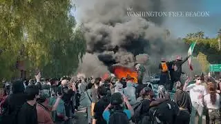 Media Shrug Off LA Rioters as &lsquo;Peaceful People&rsquo;