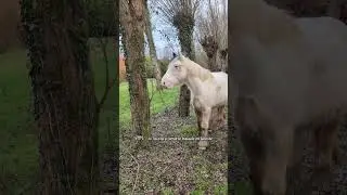 pas une balade en ext&eacute;rieur mais c'est quand m&ecirc;me un &eacute;norme accomplissement 🤍