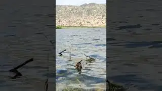 Lake beauty 🤩😍🤩😍 #vlog #tharparkar #tourism #waterflowing #waterfall #hills