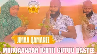 🛑Imaaniin Jimaa Qamaasisee Miirqaanaan Icciitii Guttuu Hiimttee Ilmoon Kaan Enyuuttii?