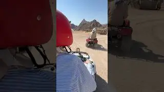 Safari Vibe