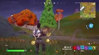 Victory Royale maarte hai|Fortnite|DZ Gaming channel