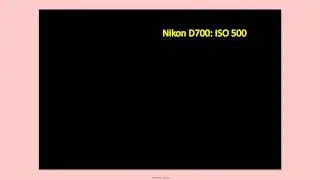 Nikon D700 and Nikon D3 ISO Noise Demonstration
