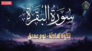 سورة البقرة للمساعدة على نوم عميق | أخذها بركة ولا تستطيعها السحرة | تلاوة خاشعة تريح القلبAl-Baqara