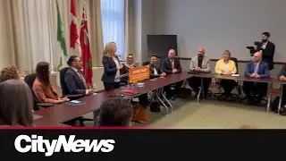 Queen's Park opposition leaders quick to criticize Ford cabinet
