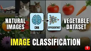 Classify Nature Images & Vegetables with CNN and EfficientNet