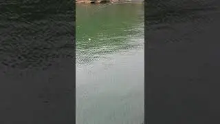 Float n Fly