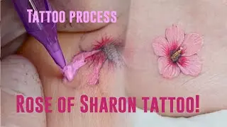 Rose of Sharon friendship tattoo process / Color.b Tattoo #tattoo #tattooprocess