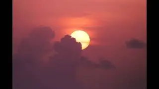 Put Me in Your Arms Song by Where's LuLu? (Hip Hop)