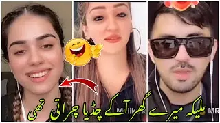 Shivany TikTok live with malika mr patlo 😂| Mr patlo TikTok live | Mr patlo and Elma