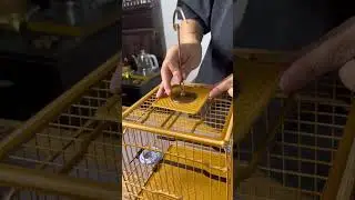 Luxury-grade traditional bird cage