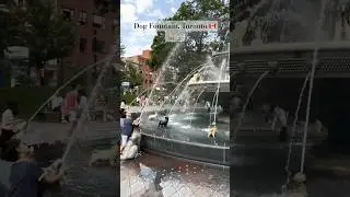 Downtown Toronto &lsquo;s famous Dog Fountain (Part 2) #toronto #dogs #downtown #torontotravel #fountain