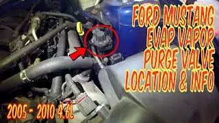 🔧 Ford Mustang Vapor Canister Purge Valve Location And Information (2005 - 2010 V8 4.6L) 🚗
