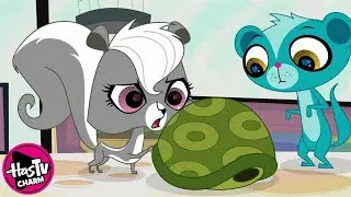 Littlest Pet Shop | Helicopter Dad | COMPILATION | Pet Cartoon