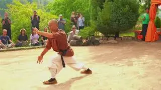 羅漢十三式气功 &middot; 13 Luohan Postures Soft Fist Form Master &middot; Shi Heng Yi &middot; Demo
