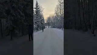 Oslo Norway, walking beautiful snow forest