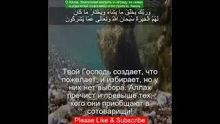 Коран Сура Аль Касас | 28:68 | Чтение Корана с русским переводом | Quran Translation #recitequran