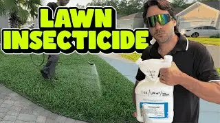 Talstar P Professional Insecticide