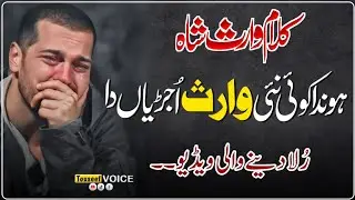 Honda Koi Nai Warish Ujriya Da Kalam | Waris Shah Punjabi Sufi Kalam | Touseef Voice 