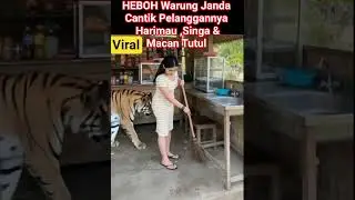 Harimau Vs Singa Vs Macan Tutul #animals