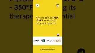 Myrcene - Terpenes 101
