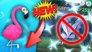 *NEW FLAMIGO & LET'S TALK FAILD KYUREM RAID DAY* Pokemon GO news