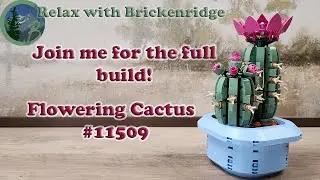 Relaxing Full Build of LEGO Flowering Cactus