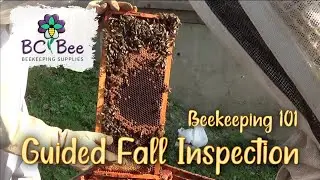 Beekeeping 101 -  Guided Inspection (Fall)