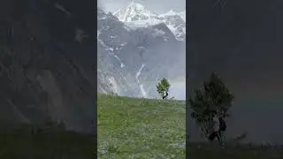 Chukail meadow +flowers +Rainbow+Brithun pass Amazing views#swat #nature #mountains #travel