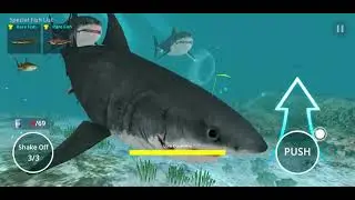 Mencari Ikan & Mancing Ikan