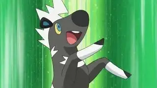 Blitzle's Cute Moments (Inspired by Poke Cutie)